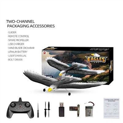 Foam Glider RC Eagle Aircraft